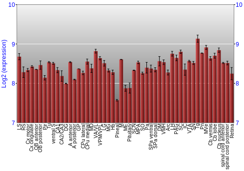Expression graph