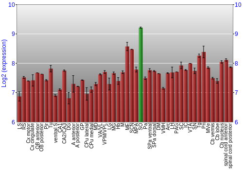 Multi-state expression graph