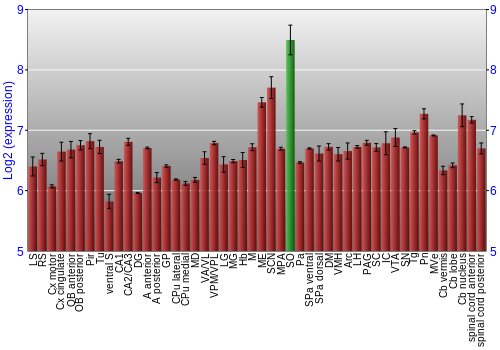 Multi-state expression graph