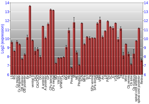 Expression graph