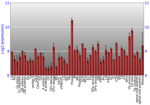 Expression graph
