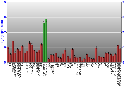 Multi-state expression graph