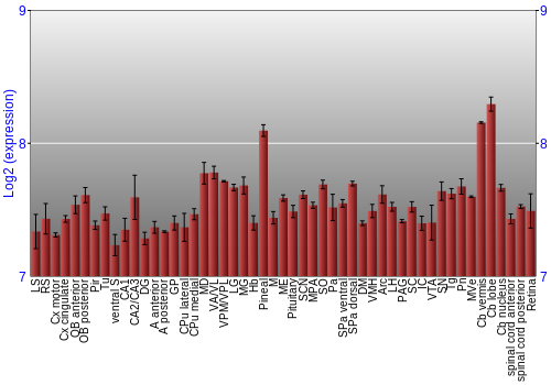 Expression graph