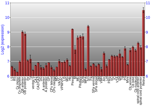 Expression graph