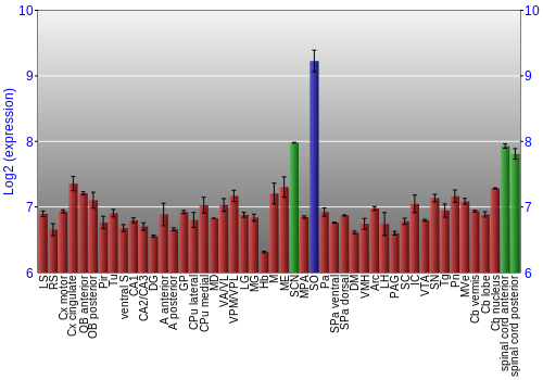 Multi-state expression graph