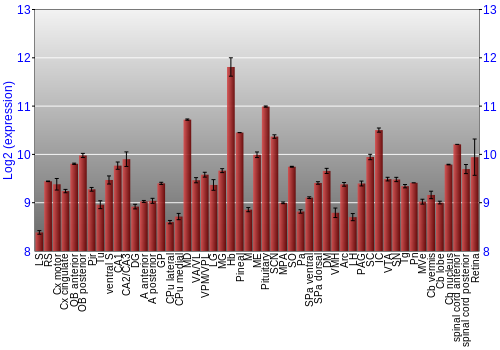 Expression graph