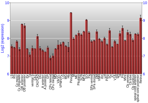 Expression graph