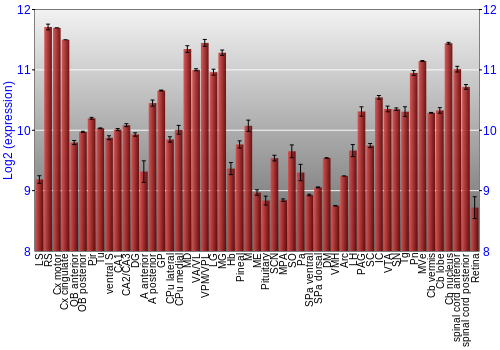 Expression graph