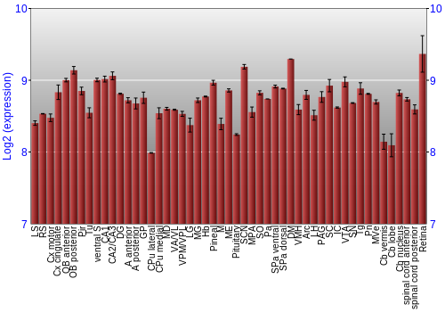 Expression graph