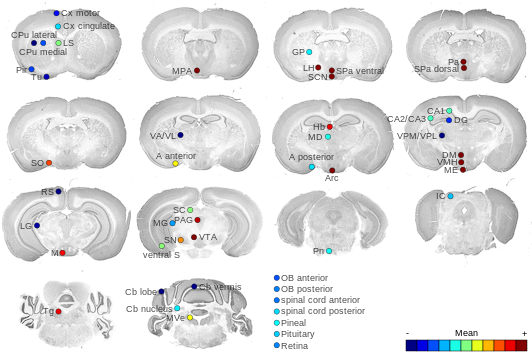 Expression map