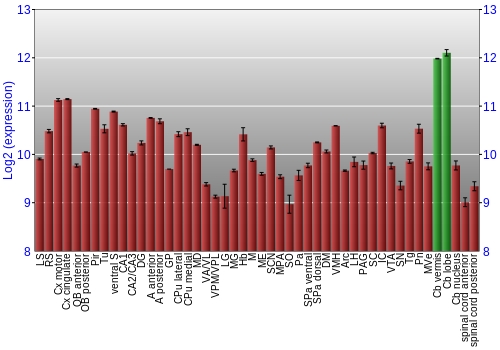 Multi-state expression graph
