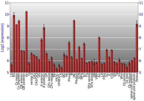 Expression graph