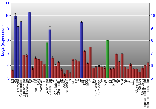 Multi-state expression graph