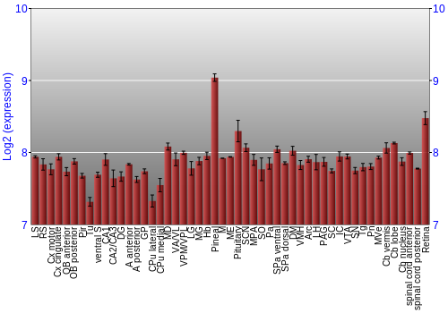 Expression graph