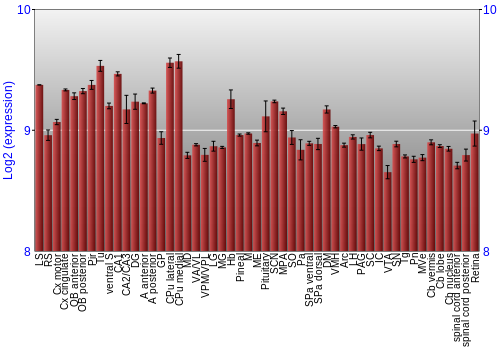 Expression graph