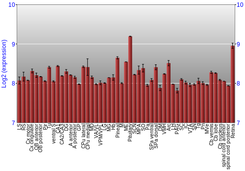 Expression graph