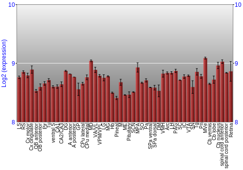 Expression graph