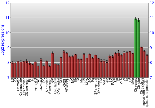 Multi-state expression graph