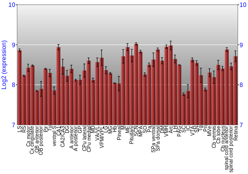 Expression graph
