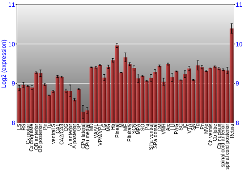 Expression graph