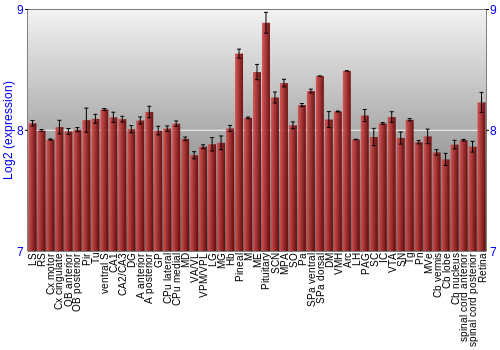 Expression graph