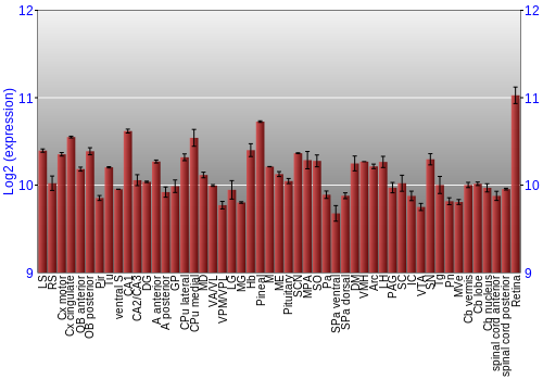 Expression graph