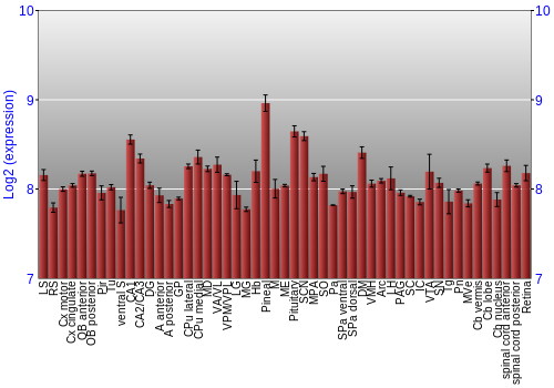Expression graph