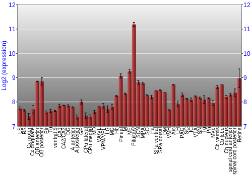 Expression graph