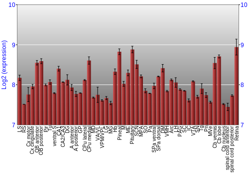 Expression graph