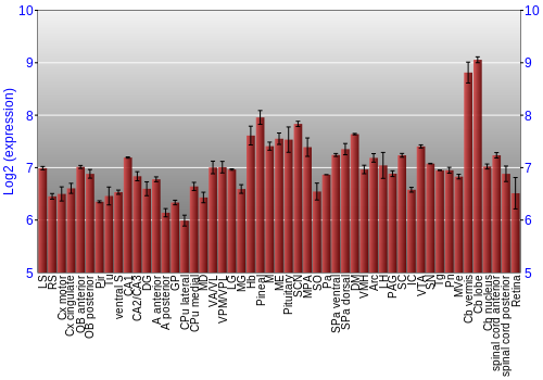 Expression graph