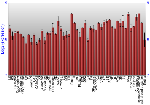 Expression graph