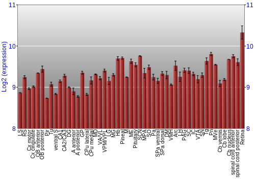 Expression graph
