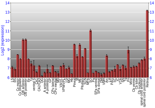 Expression graph