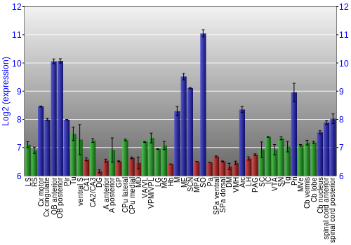Multi-state expression graph