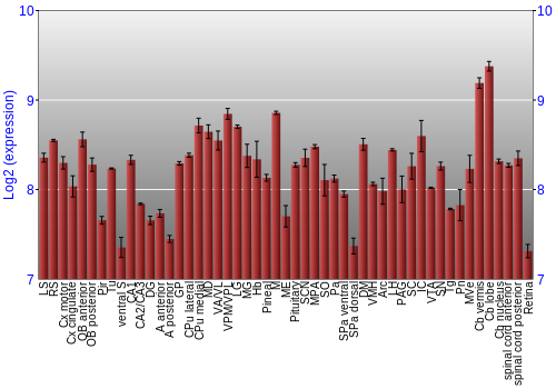 Expression graph