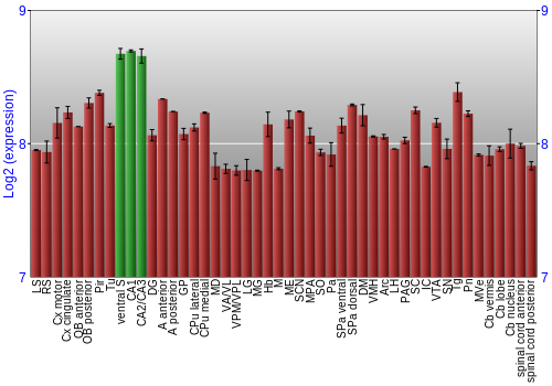 Multi-state expression graph