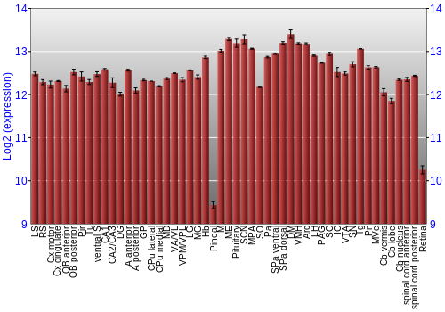 Expression graph