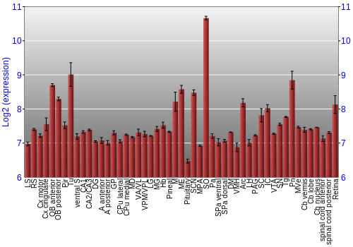 Expression graph