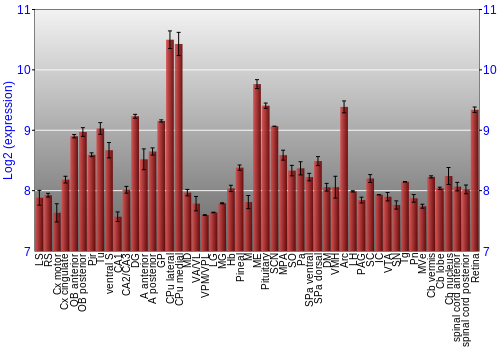 Expression graph