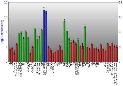 Multi-state expression graph