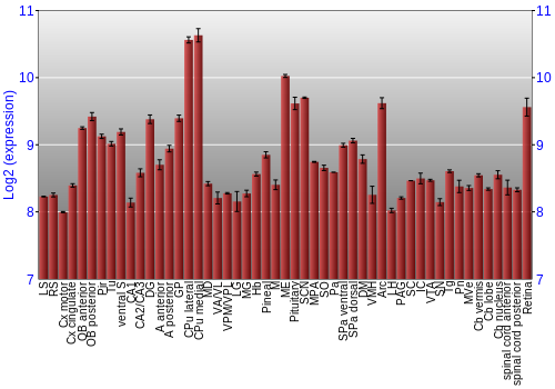 Expression graph