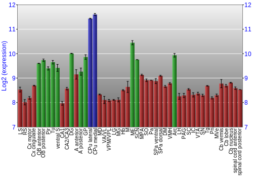 Multi-state expression graph