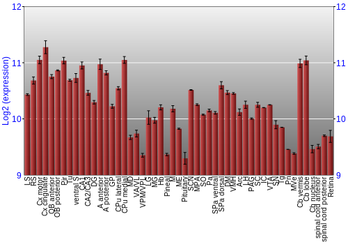 Expression graph