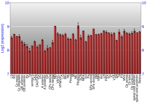 Expression graph