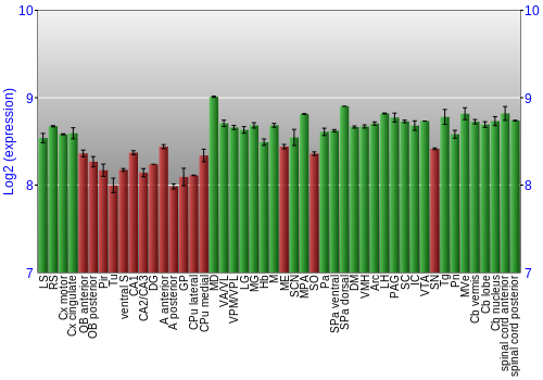 Multi-state expression graph