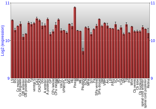 Expression graph