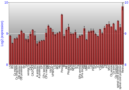 Expression graph