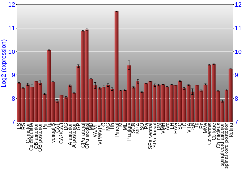 Expression graph