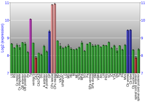 Multi-state expression graph