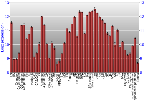 Expression graph